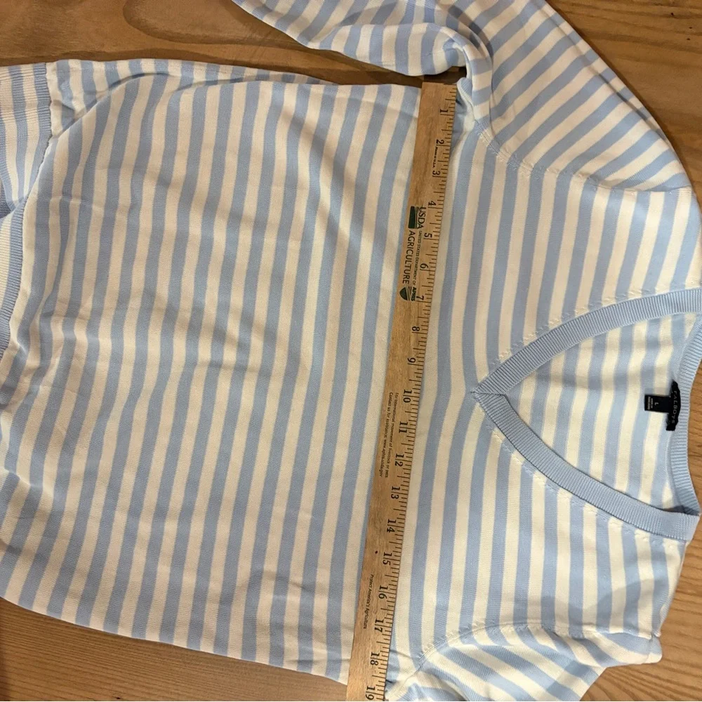Talbots Blue and White Striped V-Neck Sweater - Picture 4 of 5
